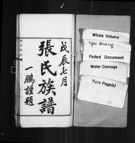 江苏张氏族谱-张氏族谱.pdf电子版插图1