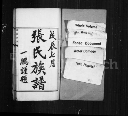 江苏张氏族谱-张氏族谱.pdf电子版插图2