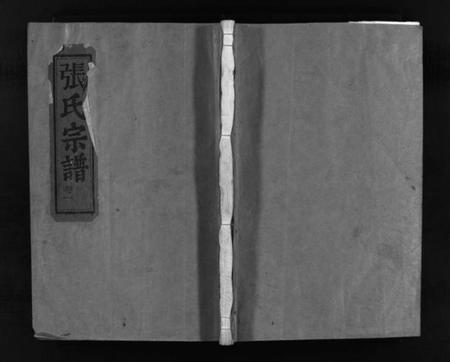 浙江张氏族谱-张氏宗谱 [不分卷].pdf电子版插图1