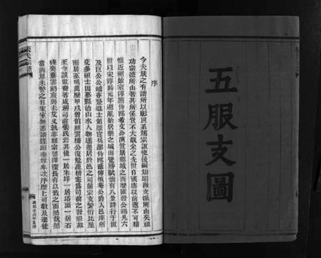 浙江张氏族谱-张氏宗谱 [不分卷].pdf电子版插图3