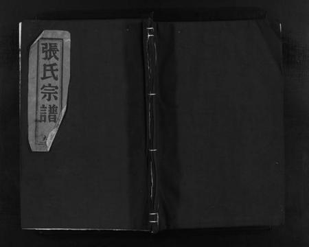 浙江多姓氏族谱-张氏宗谱 [不分卷].pdf电子版插图1