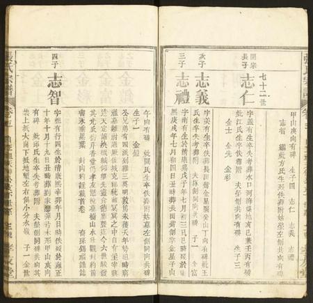 湖北张氏族谱-张氏宗谱.pdf电子版插图3