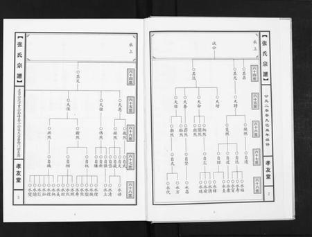 湖北张氏族谱-张氏宗谱.pdf电子版插图2 湖北张氏族谱-张氏宗谱.pdf电子版插图2