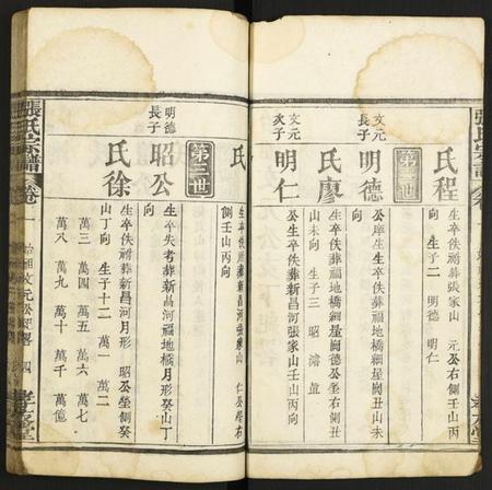 湖北张氏族谱-张氏宗谱.pdf电子版插图4