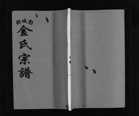 浙江金氏族谱-彭城郡金氏宗谱 [5卷].pdf电子版插图1