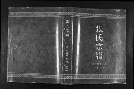 湖北张氏族谱-张氏宗谱.清河鄂东支系.pdf电子版插图 湖北张氏族谱-张氏宗谱.清河鄂东支系.pdf电子版插图