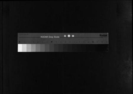 浙江金氏族谱-彭城金氏宗谱 [不分卷].pdf电子版