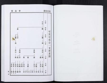 湖北张氏族谱-张氏家谱.pdf电子版插图3