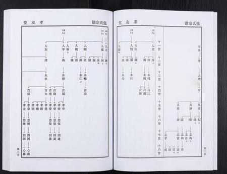 湖北张氏族谱-张氏家谱.pdf电子版插图4