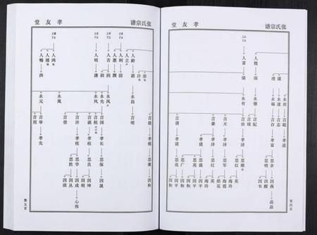 湖北张氏族谱-张氏家谱.pdf电子版插图5