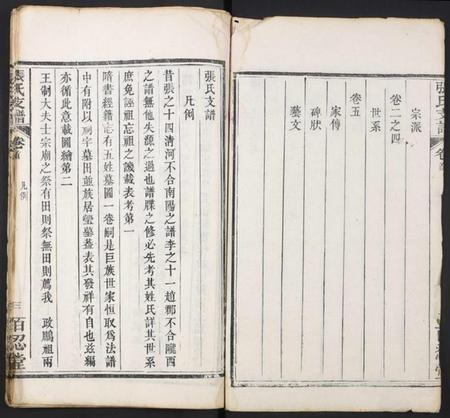 湖北张氏族谱-张氏支谱.pdf电子版插图2