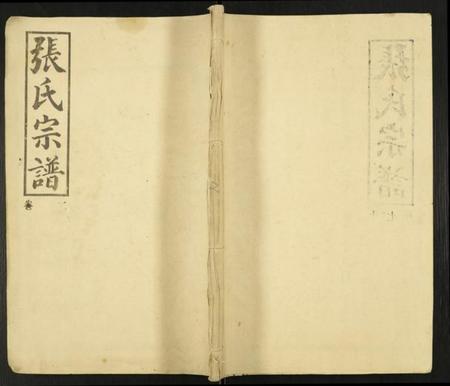 湖北张氏族谱-张氏族谱.pdf电子版