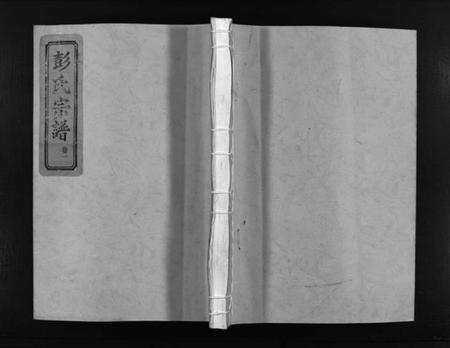 浙江彭氏族谱-彭氏宗谱 [2卷].pdf电子版插图1