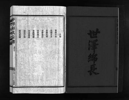 浙江彭氏族谱-彭氏宗谱 [2卷].pdf电子版插图3