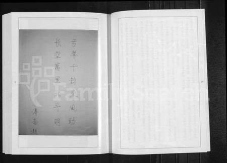 湖北张氏族谱-张氏族谱(分支).pdf电子版插图4