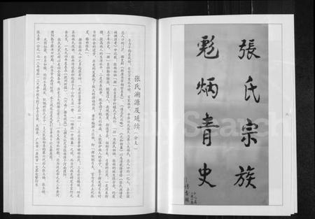 湖北张氏族谱-张氏族谱(分支).pdf电子版插图5