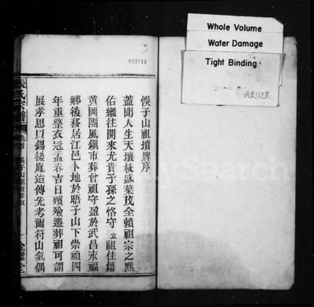 湖北张氏族谱-张氏宗谱.pdf电子版插图1 湖北张氏族谱-张氏宗谱.pdf电子版插图1