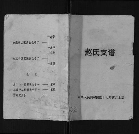江苏赵氏族谱-赵氏支谱[不分卷].pdf电子版插图