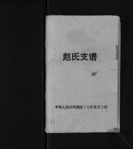 江苏赵氏族谱-赵氏支谱[不分卷].pdf电子版插图1