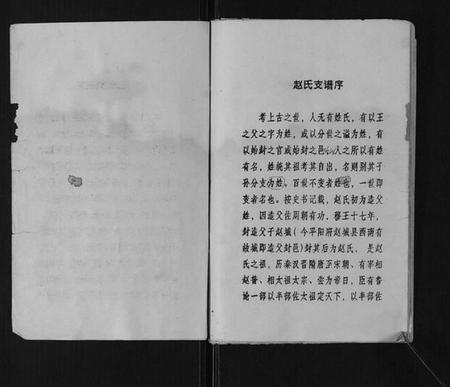 江苏赵氏族谱-赵氏支谱[不分卷].pdf电子版插图2