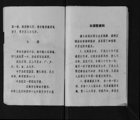 江苏赵氏族谱-赵氏支谱[不分卷].pdf电子版插图4