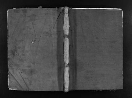 浙江徐氏族谱-徐氏宗谱 [不分卷].pdf电子版插图1