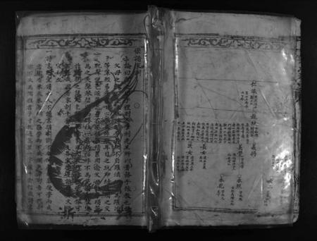 浙江徐氏族谱-徐氏宗谱 [不分卷].pdf电子版插图1