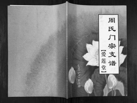 江苏周氏族谱-周氏门宗支谱[不分卷].pdf电子版插图