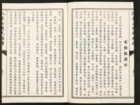 江苏周氏族谱-元圣裔扒头山周氏族谱.pdf电子版插图5