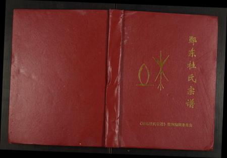 湖北杜氏族谱-郧东杜氏宗谱.pdf电子版插图