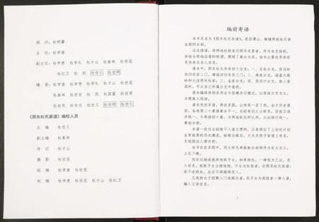 湖北杜氏族谱-郧东杜氏宗谱.pdf电子版插图2