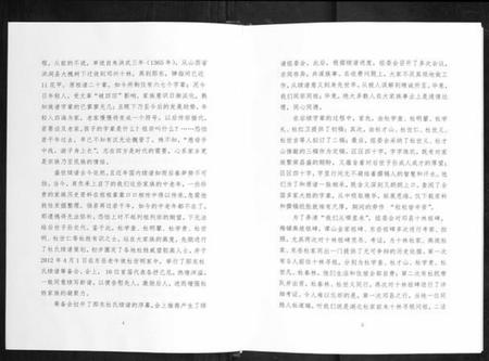 湖北杜氏族谱-郧东杜氏宗谱[不分卷].pdf电子版插图4