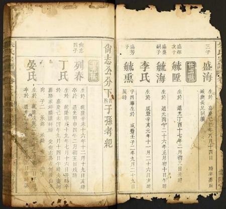 湖北朱氏族谱-朱氏宗谱.pdf电子版插图3