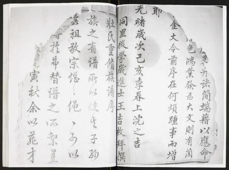 江苏壮氏族谱-壮氏族谱.pdf电子版插图5