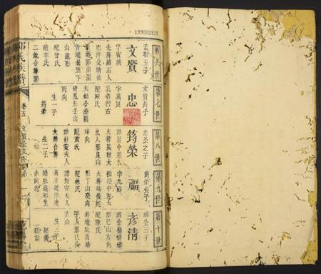 中国邹氏族谱-邹氏族谱.pdf电子版插图1