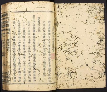 中国邹氏族谱-邹氏族谱.pdf电子版插图1