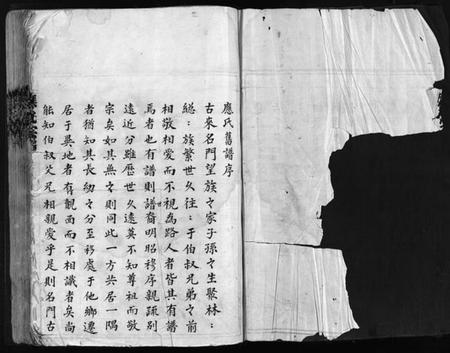 浙江应氏族谱-应氏宗谱 [不分卷].pdf电子版插图2