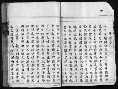 浙江应氏族谱-应氏宗谱 [不分卷].pdf电子版插图4