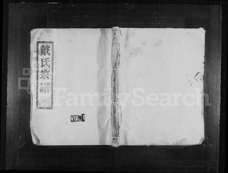 浙江戴氏族谱-戴氏宗谱.pdf电子版插图1
