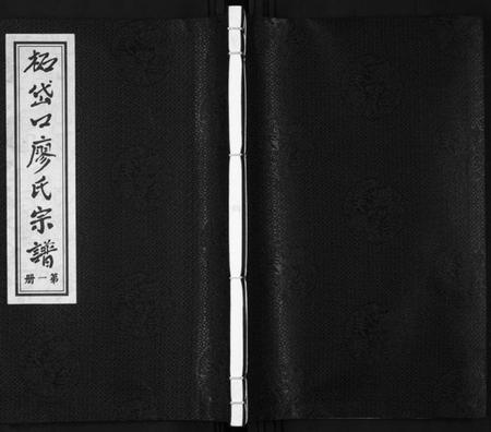 浙江廖氏族谱-拓岱口廖氏宗谱[3卷].pdf电子版插图