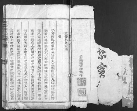 浙江林氏族谱-文堂林氏宗谱[不分卷].pdf电子版插图1