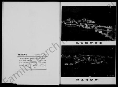 浙江陈氏族谱-新屋陈氏志(桃溪陈氏志).pdf电子版插图2