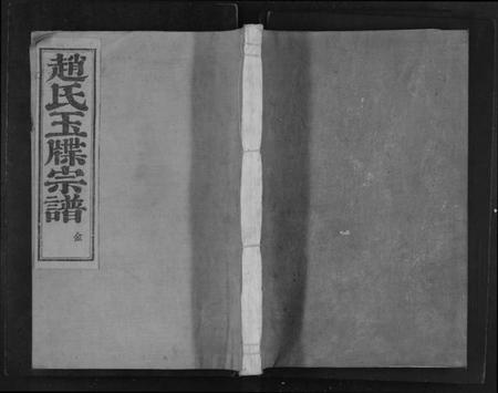 浙江赵氏族谱-新昌浚仪赵氏宗谱[8卷,首1卷].pdf电子版插图