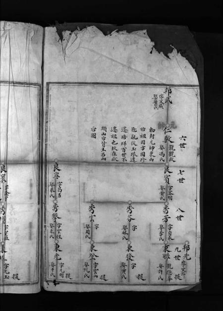 浙江陈氏族谱-新桥陈氏宗谱 [不分卷].pdf电子版插图4