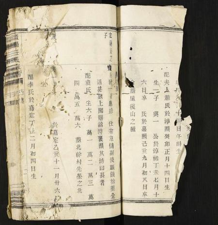 浙江任氏族谱-暨阳任氏宗谱.pdf电子版插图1