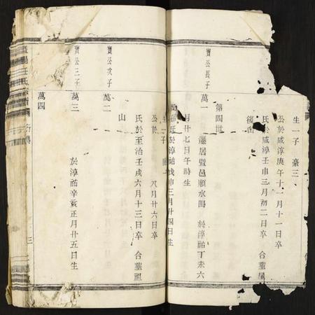 浙江任氏族谱-暨阳任氏宗谱.pdf电子版插图2