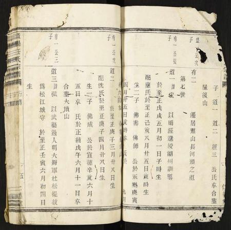 浙江任氏族谱-暨阳任氏宗谱.pdf电子版插图4