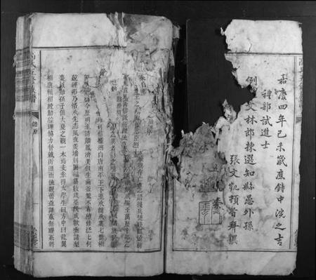 江西高氏族谱-高氏五修族谱.pdf电子版插图3 江西高氏族谱-高氏五修族谱.pdf电子版插图3