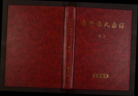 浙江陈氏族谱-暨阳尘外陈氏宗谱[2卷].pdf电子版插图
