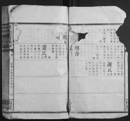 湖南蒋氏族谱-蒋氏续修族谱.pdf电子版插图4